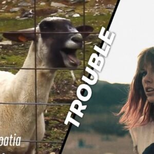 Taylor Swift - Jouw Muziek Bingo